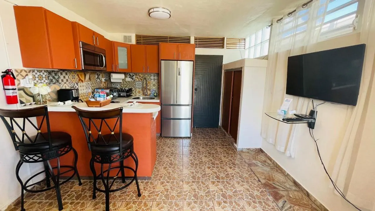 Apartment Cozy Studio Retreat With Private Parking And Free Laundry Ponce